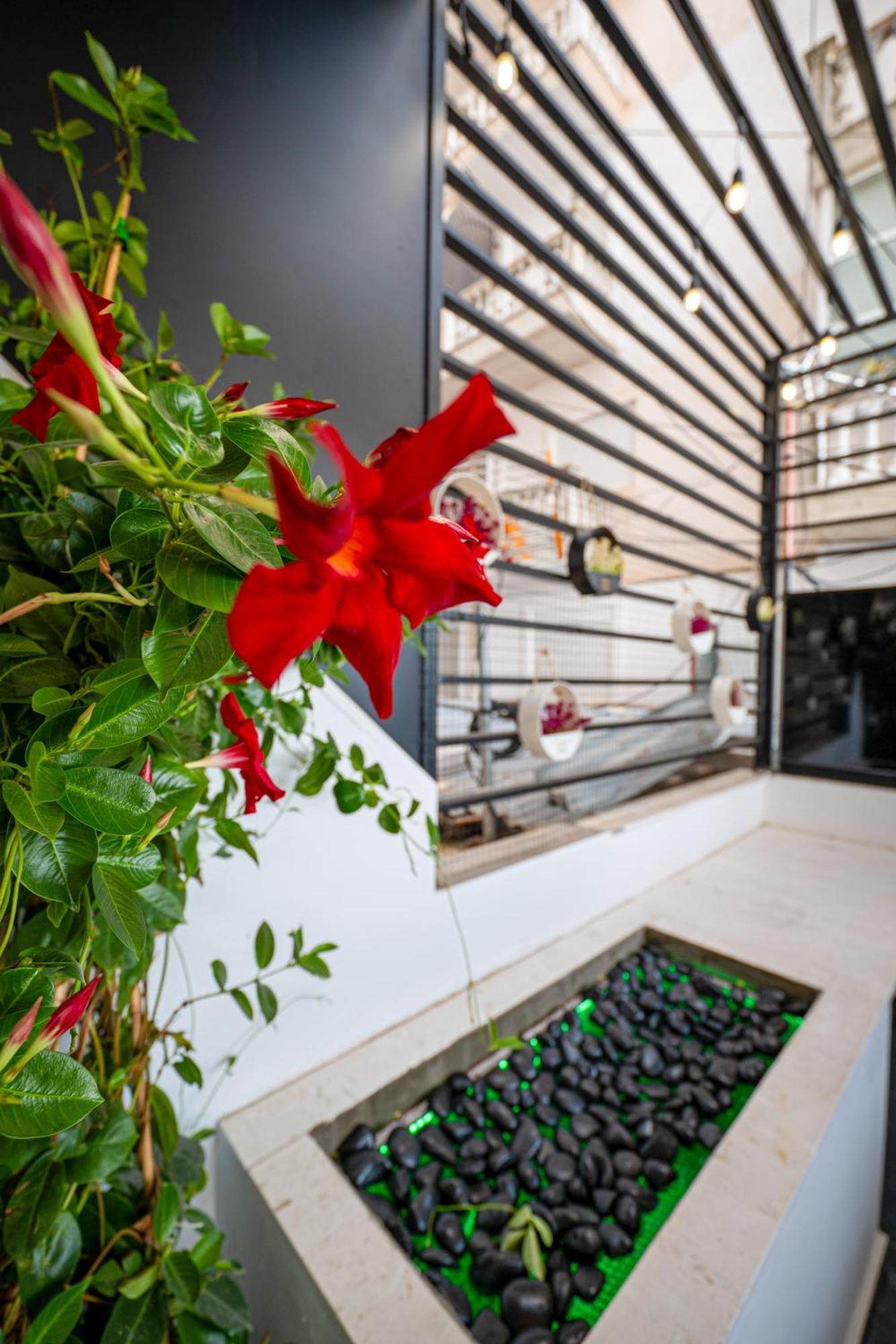 Mato Luxury Apartments Sarandë Exteriör bild
